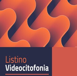 videocitofonia